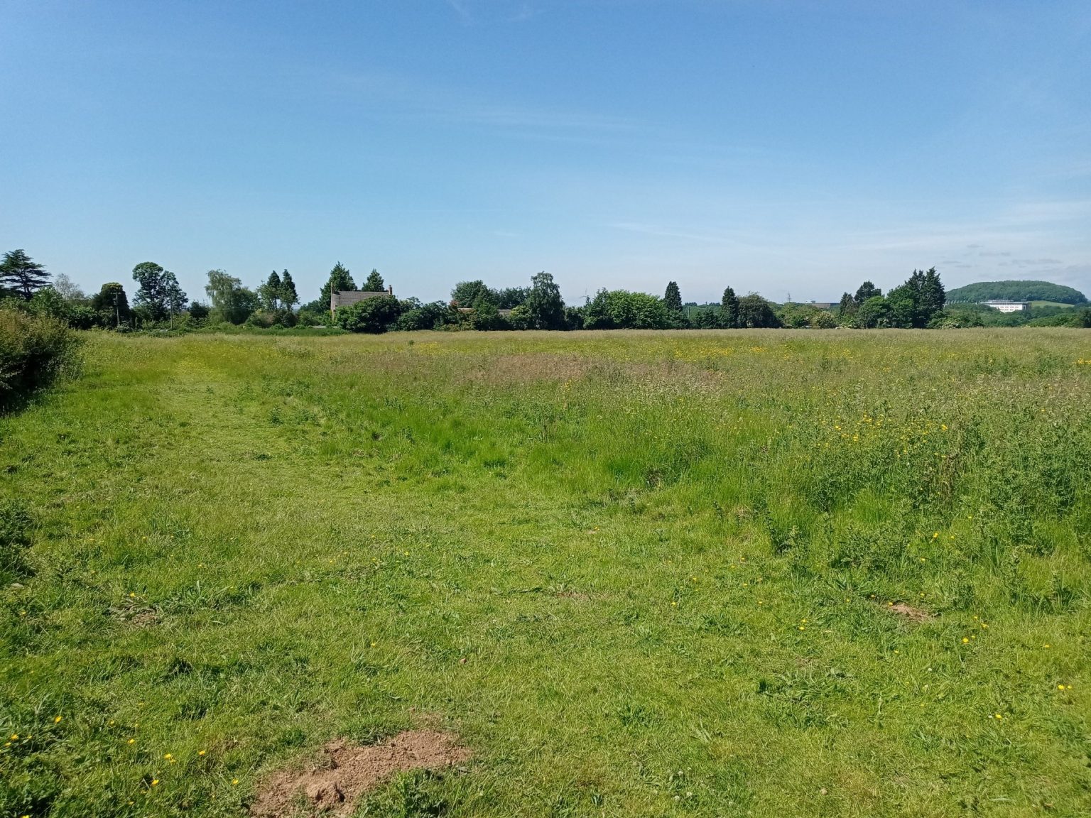 Grazing Land Available Monmouthshire