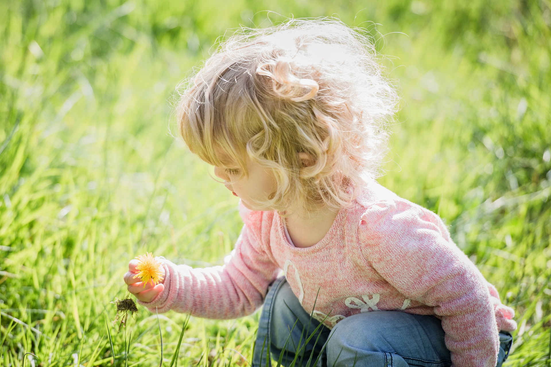 Young child playing with the wild grasses