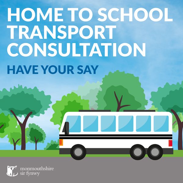 Have your say on proposed future changes to Home to School Transport ...