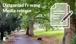 Datganiad i'r wasg Media release