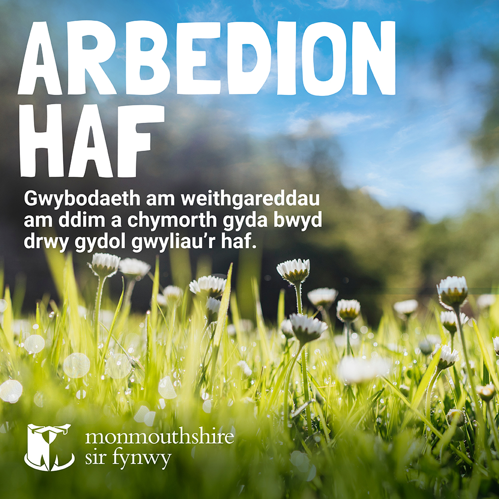 Arbedion Haf