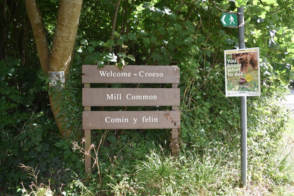 Mill Common sign