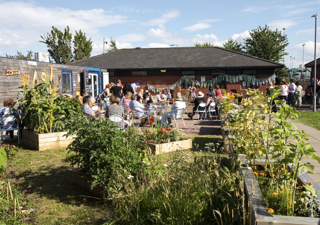 Community garden in sunshine